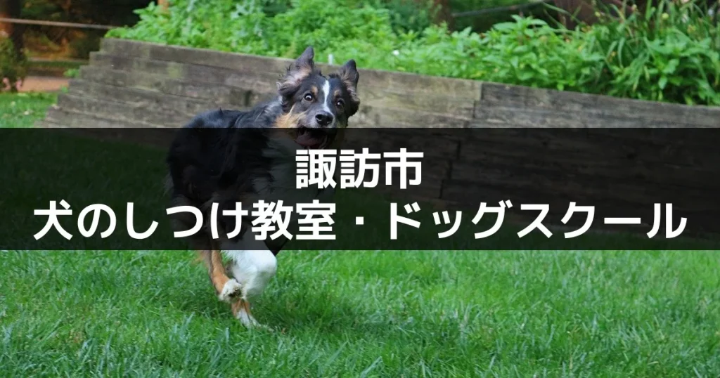 諏訪市の犬のしつけ教室・ドッグスクール