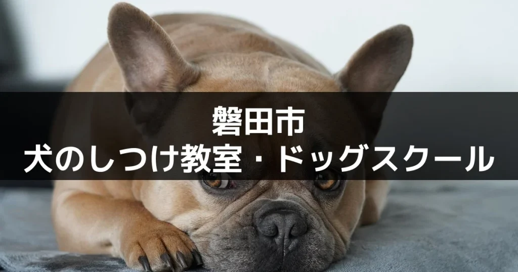 磐田市にある犬のしつけ教室・ドッグスクール